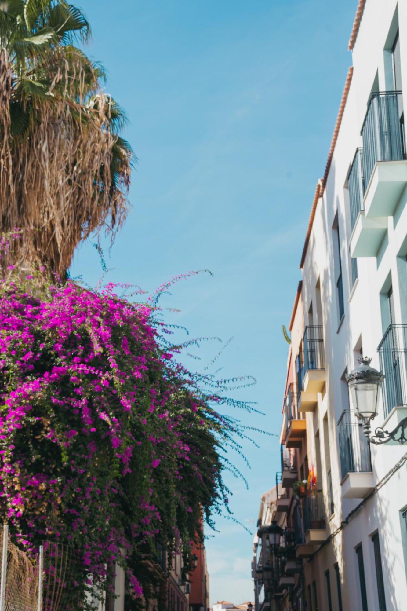 Picasso Premium Apartment Malaga Exterior photo