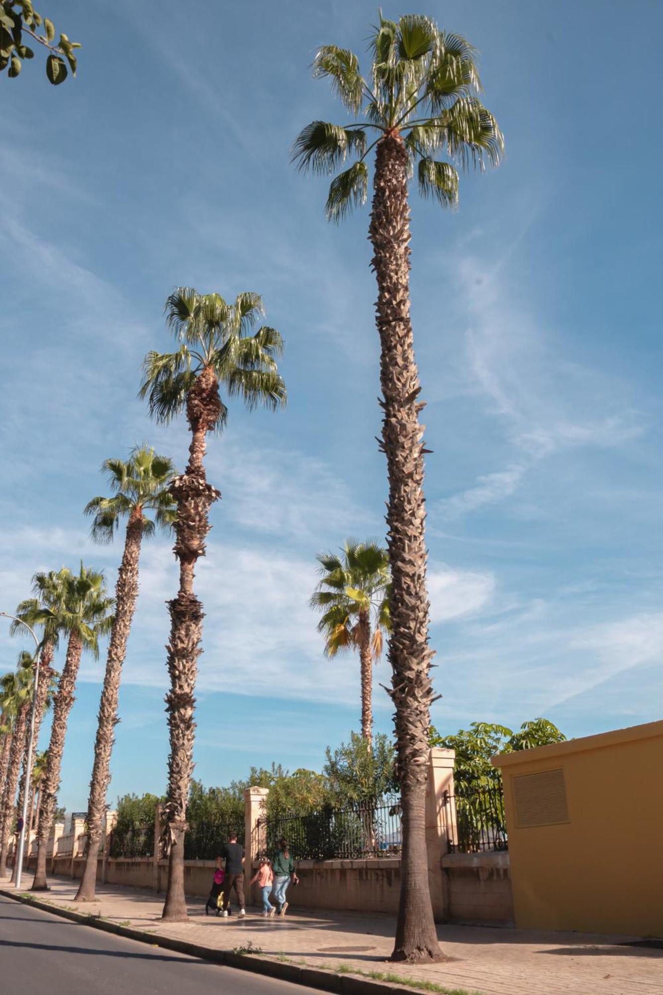 Picasso Premium Apartment Malaga Exterior photo